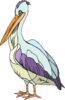 Colorful Pelican Clip Art